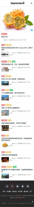 织梦响应式个人博客资讯网站模板(自适应手机移动端)-第2张图片-372盘资源网