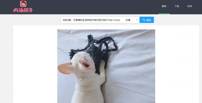短视频无水印解析源码半开源分享-372盘
