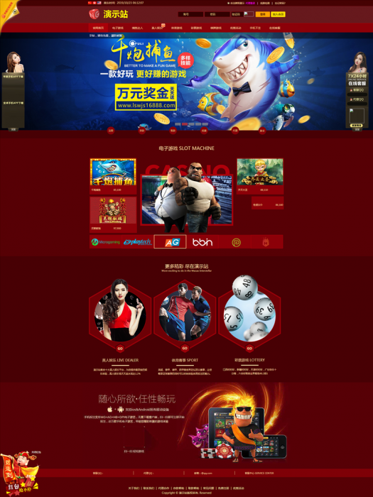 NG网站PHP程序+所有版本更新包+视频搭建教程-372盘