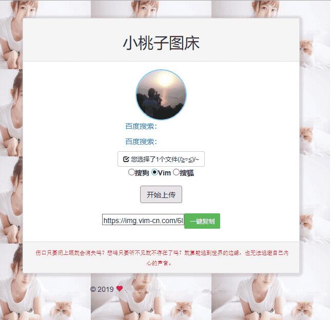 聚合图床程序源码 支持搜狗搜狐Vim图-372盘