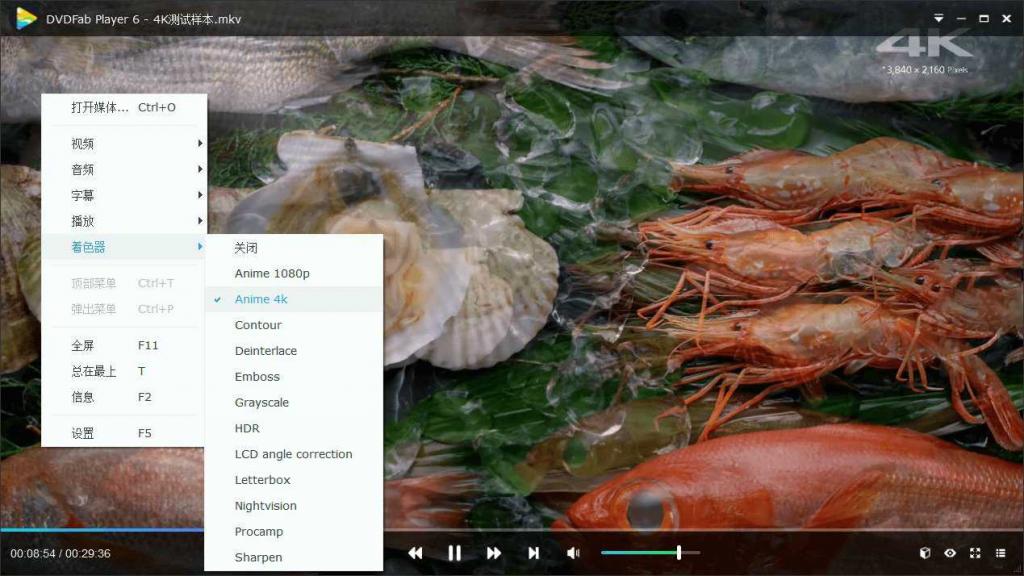 DVDFab Player v6.1.1高级版-372盘