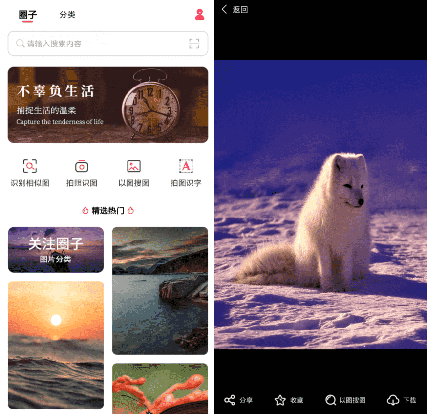 以图搜图v1.0.0纯净版-372盘
