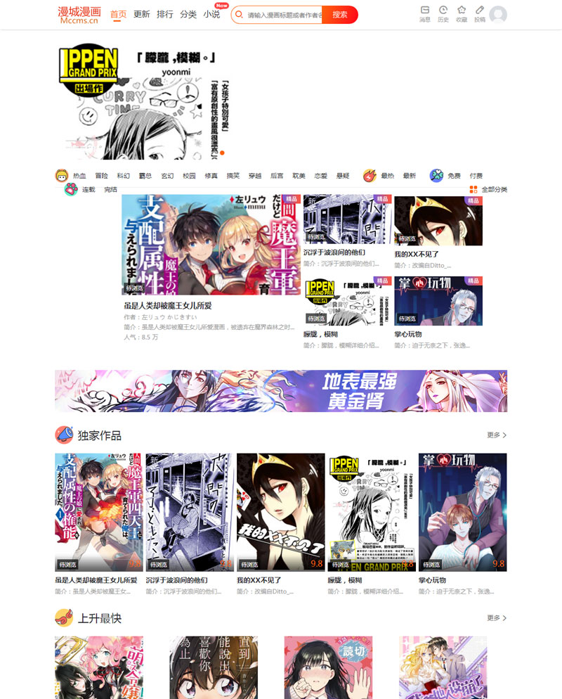 CI框架PHP漫画小说二合一CMS-372盘