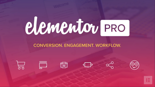 【Elementor Pro v2.10.0】WordPress插件+弹窗生成器+主题生成器+可视化拖拽编辑器插件+300多个Designer Made模板+专业版-372盘