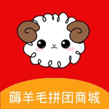 薅羊毛拼团商城V1.1.7多开版+前端-372盘