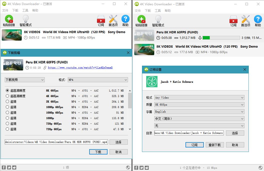油管高清视频下载利器4K Video Downloader v4.20.4-372盘