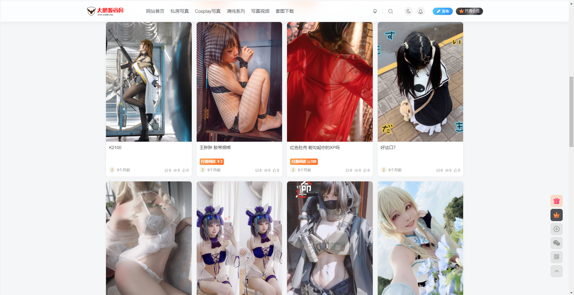 【372盘独家】整站WordPress子比自适应美女写真网站美图整站带数据源码372盘亲测插图1