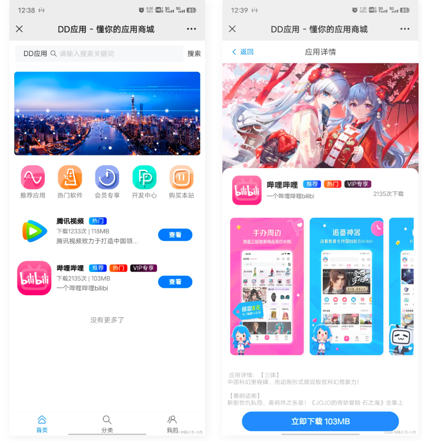 D1112 DD应用系统软件库网站源码-372盘