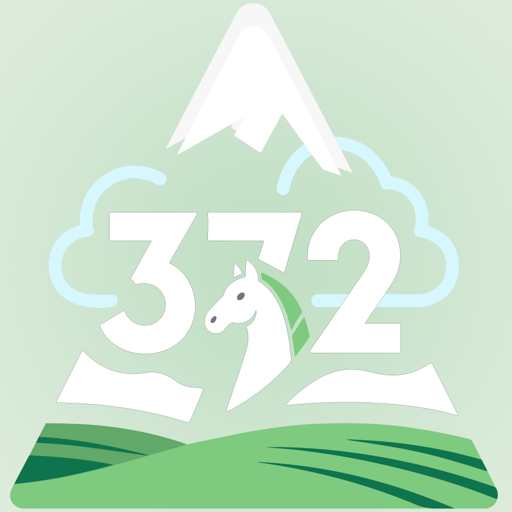 372盘-372盘