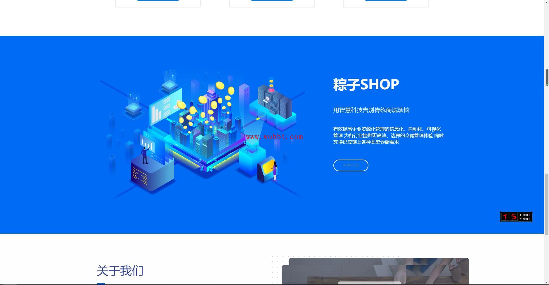 最新粽子实物商城纯净官网展示源码 无后台-372盘