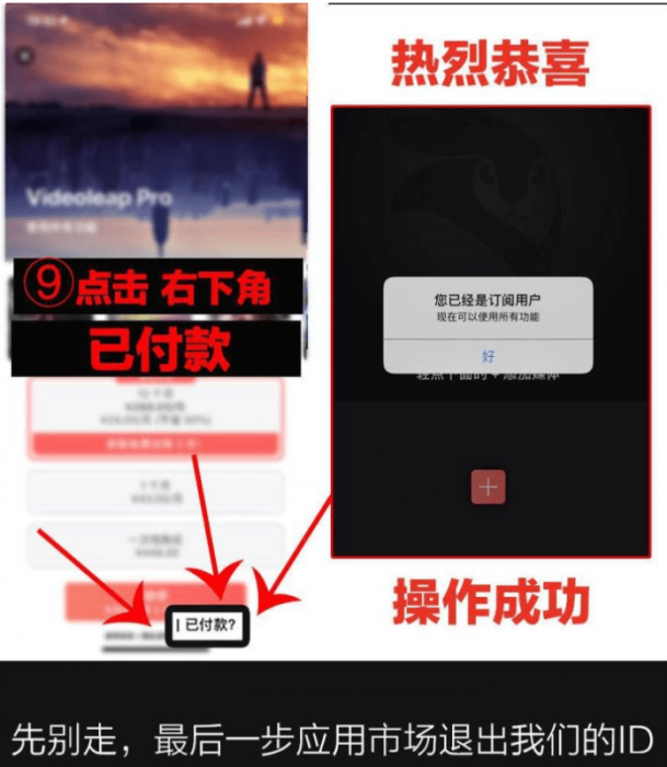 抖音超火视频剪辑软件，Videoleap某宝买的分享给大家-第2张图片-372盘资源网