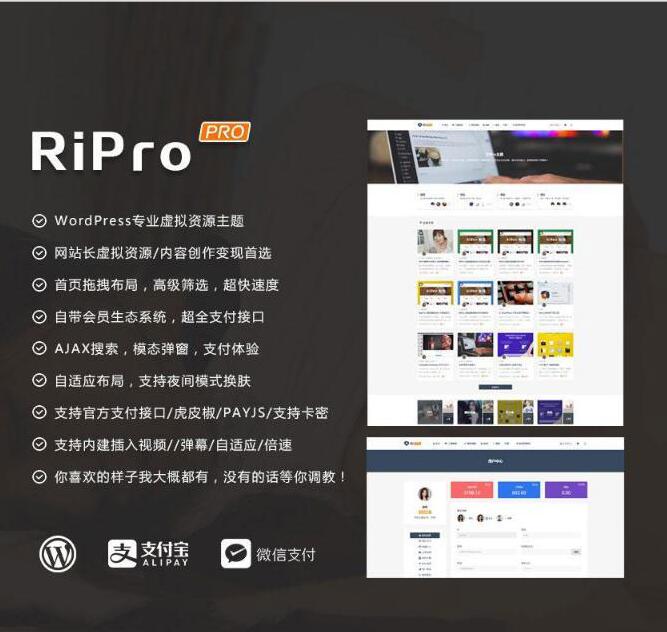 最新WP+RiPro主题PJ版 功能强大